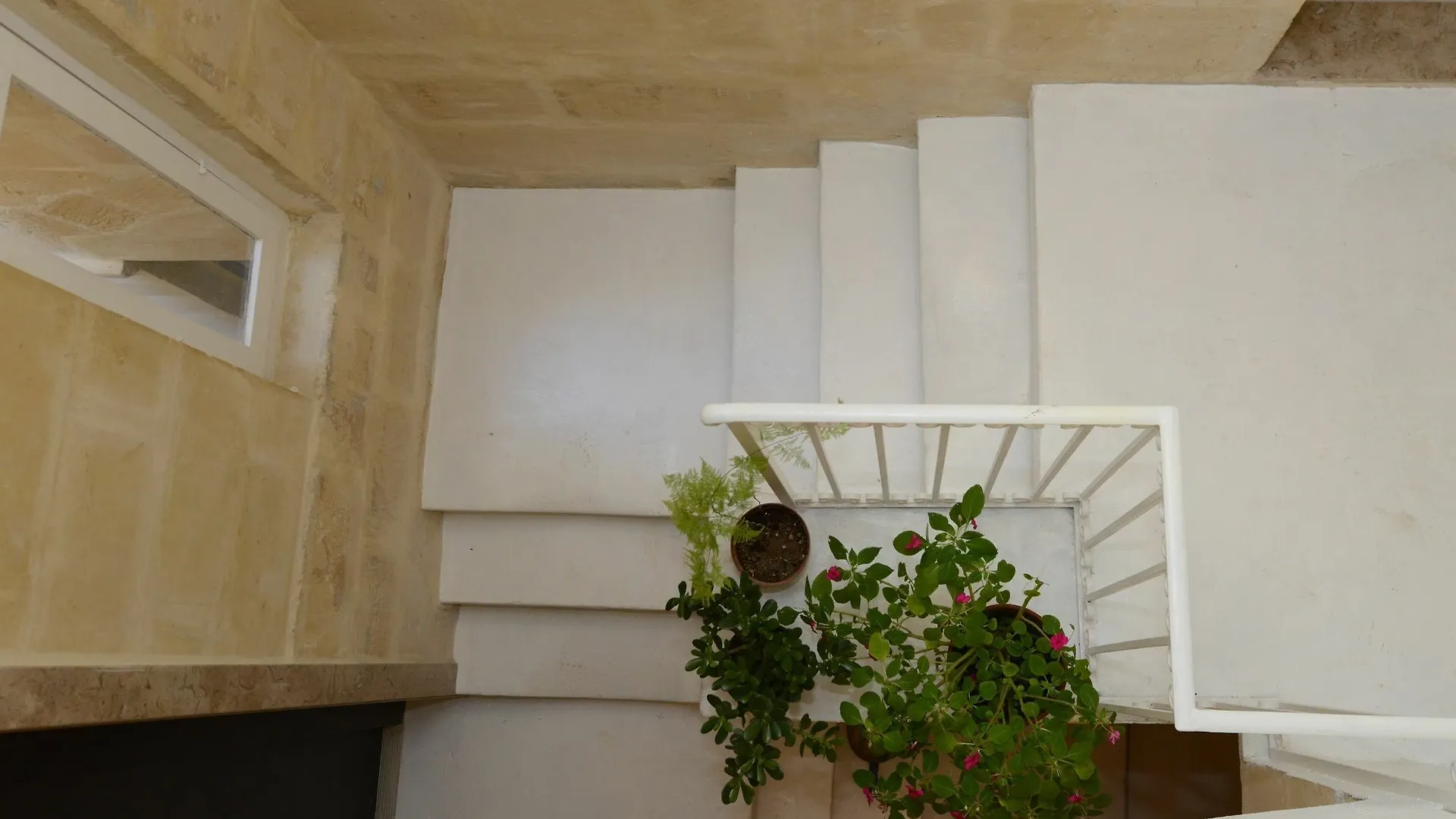 Paulos Valletta